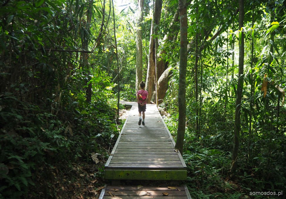 taman negara walk, malaysia