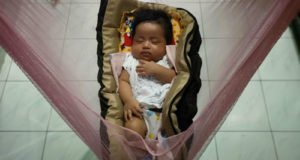 baby from Indonesia